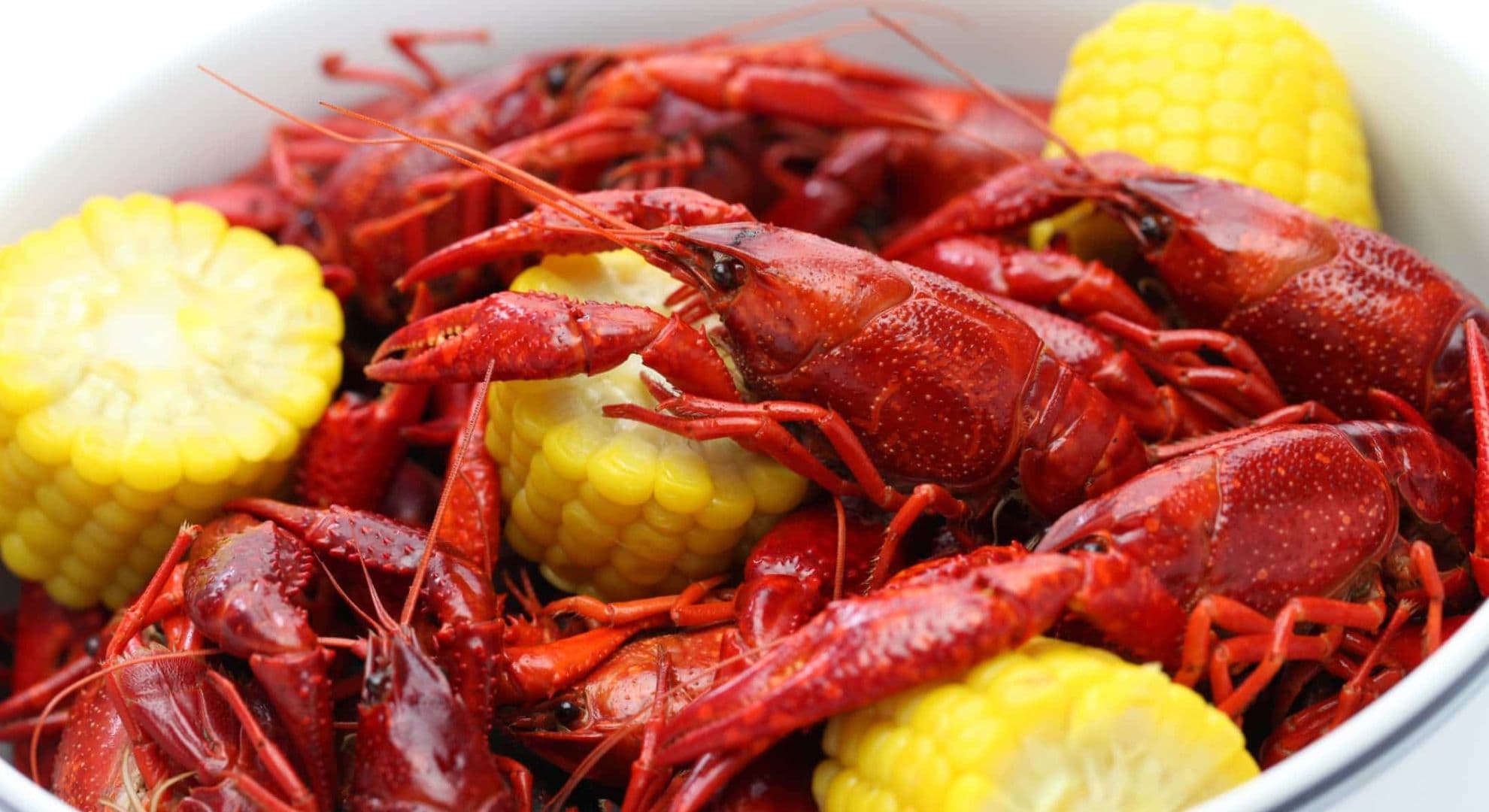 A bowl filled with red crawfish and yellow corn.
