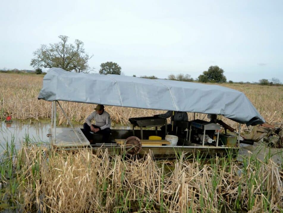 A person sits on a small boat covered with a tarp in a marshy area surrounded by tall grass.