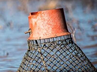 A submerged fishing trap with a red top sitting in water.