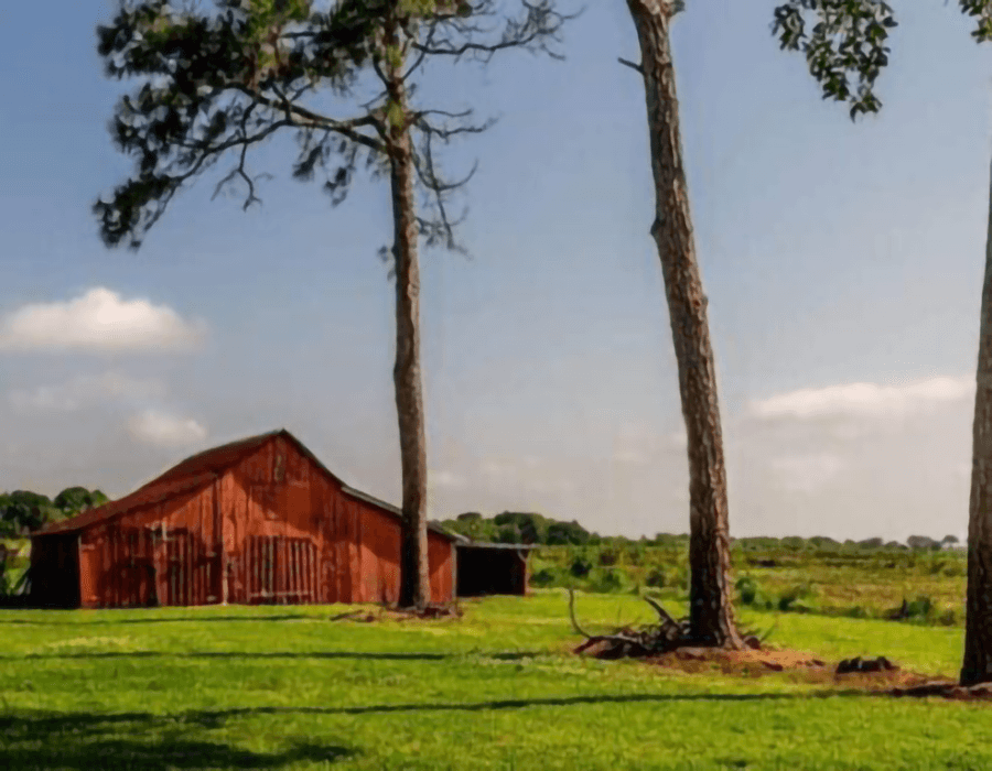 A red barn stands amid green grass and trees under a blue sky.