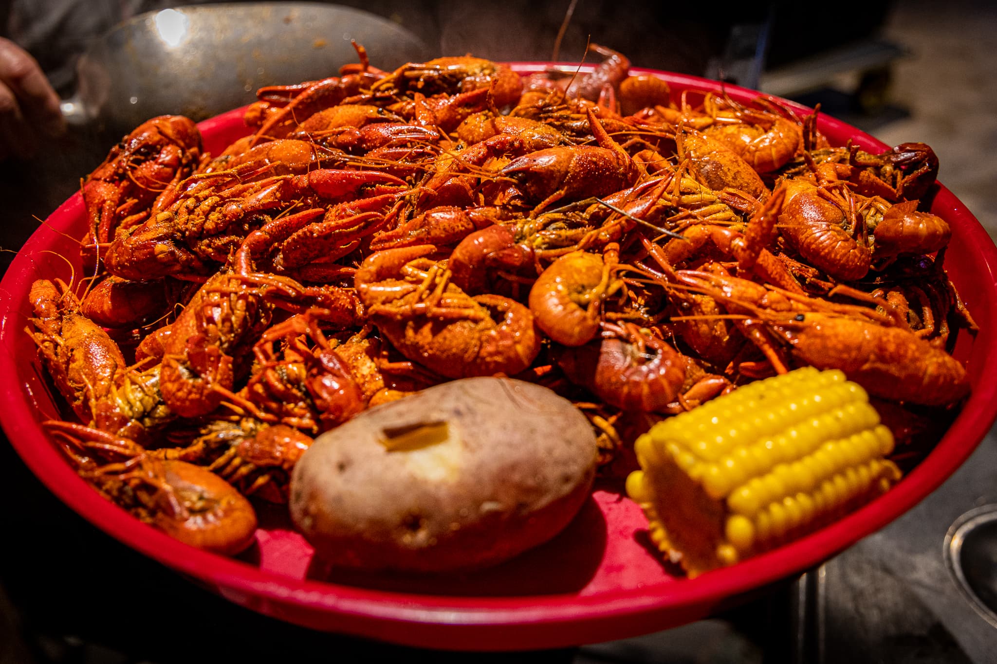 A red platter filled with cooked crawfish, a potato, and a cob of corn.